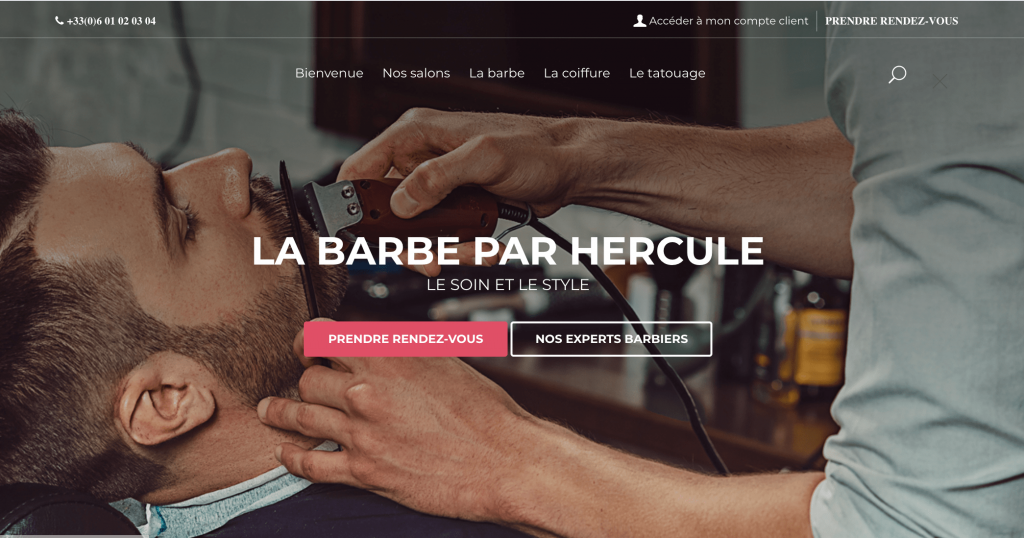 Capture d’écran site Hello Hercule